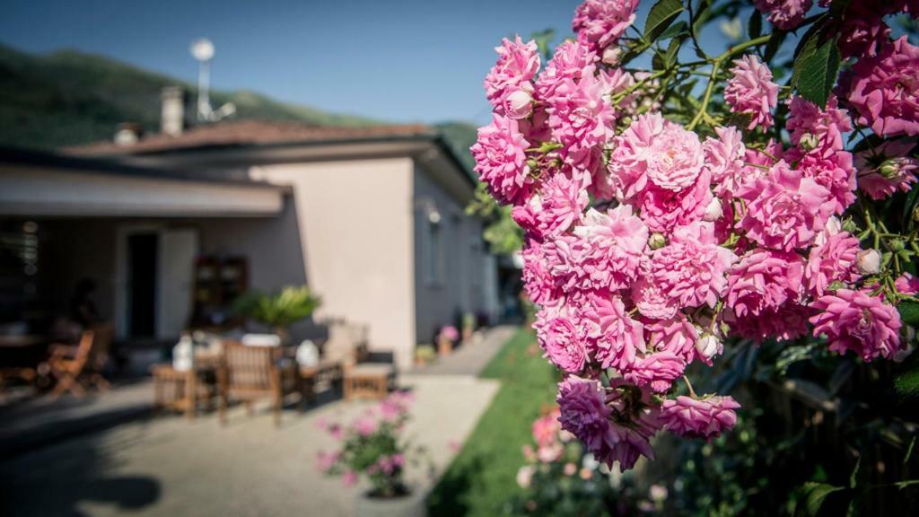 Casa Vittoria Villa Camaiore Exterior photo